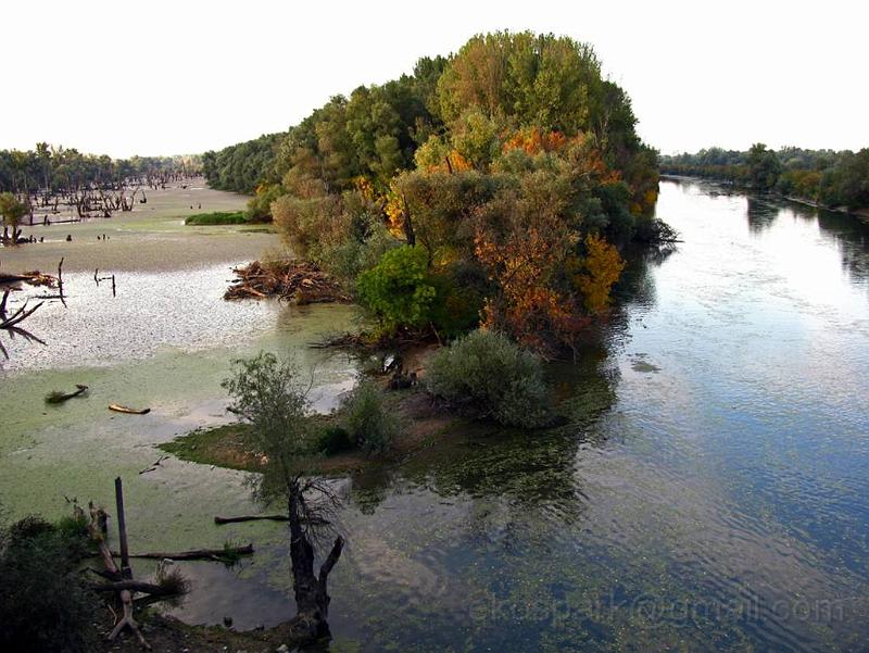 image010.jpg - Green banks of the river Tamish