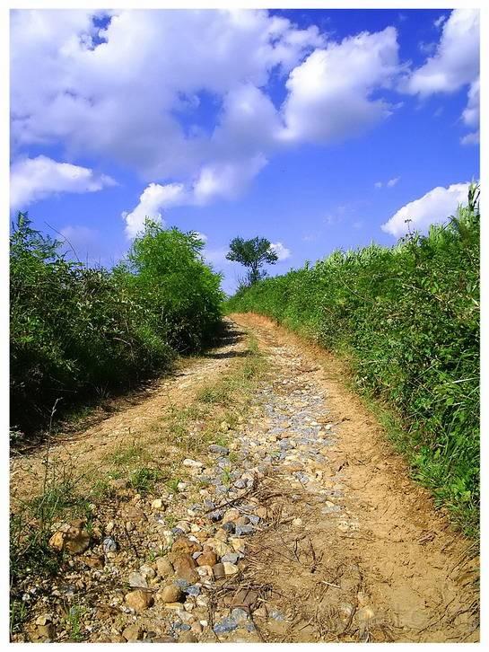 image050.jpg - A forgotten road