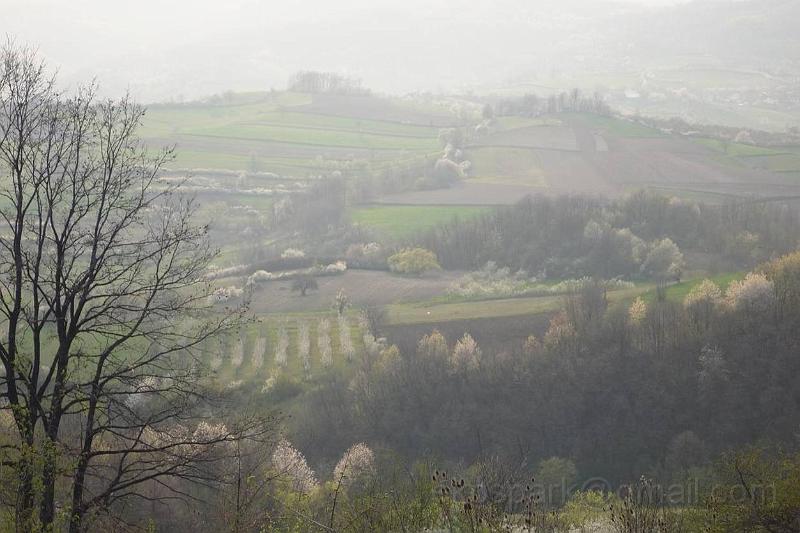 image064.jpg - Foggy spring in Velike Pcelice (Šumadija)