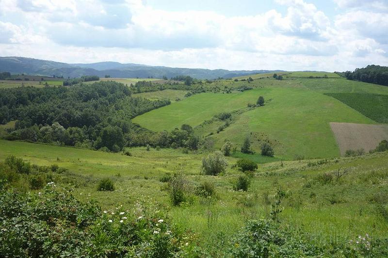 image074.jpg - Fields of Sumadija