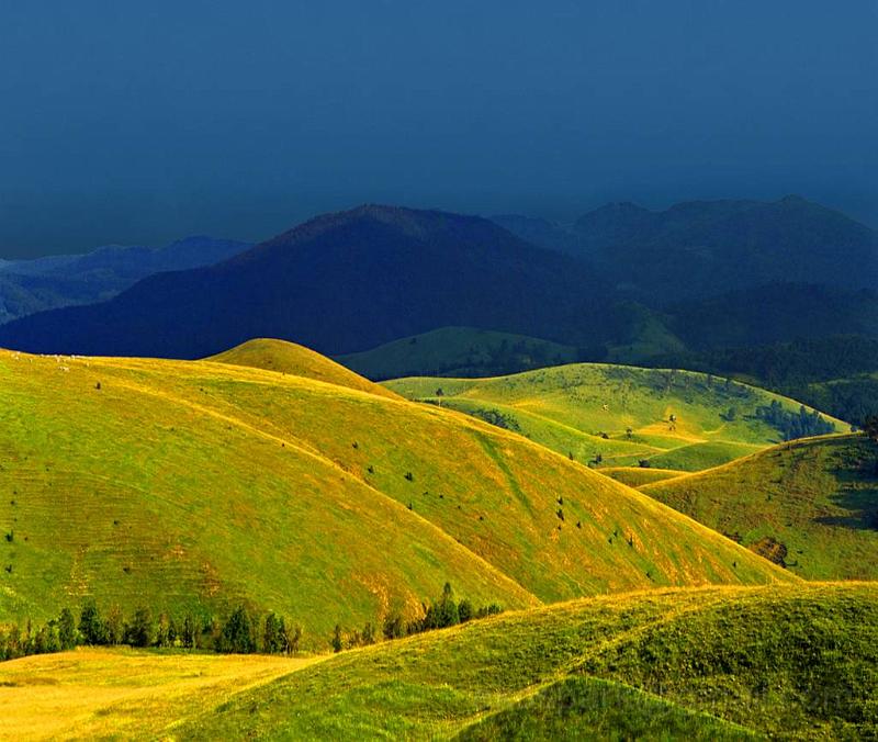 image080.jpg - Mount Zlatibor