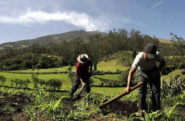 Kolumbija.jpg.JPG - Kolumbija

