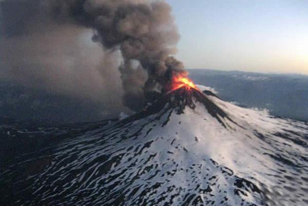 Liaima.jpg.JPG - Laima
